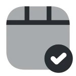 Video Tick SVG Icon